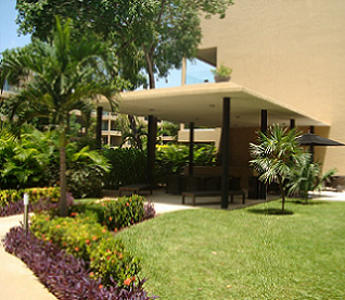 mantenimiento de jardines